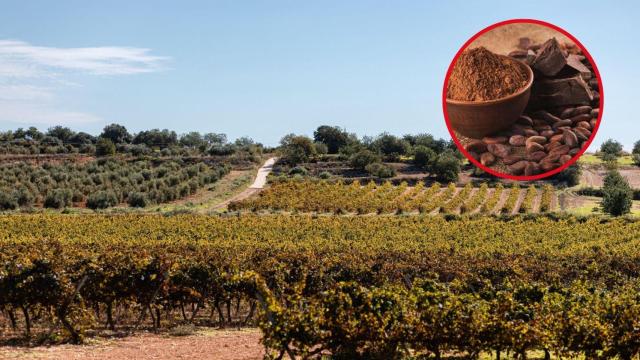 La capital catalana del cacao: esta es la zona de Cataluña famosa por si chocolate, el Priorat