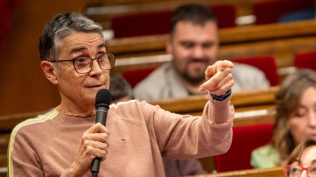 La consejera catalana de Salud, Olga Pané, en el Parlament
