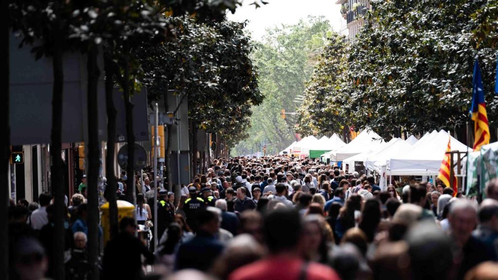 Sant Jordi 2025