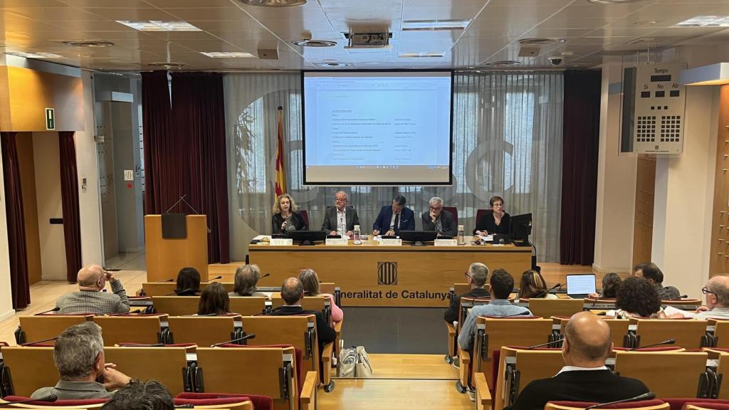 Pleno del CTESC en el cual se ha ofrecido el posicionamiento sobre la OPA del BBVA al Sabadell