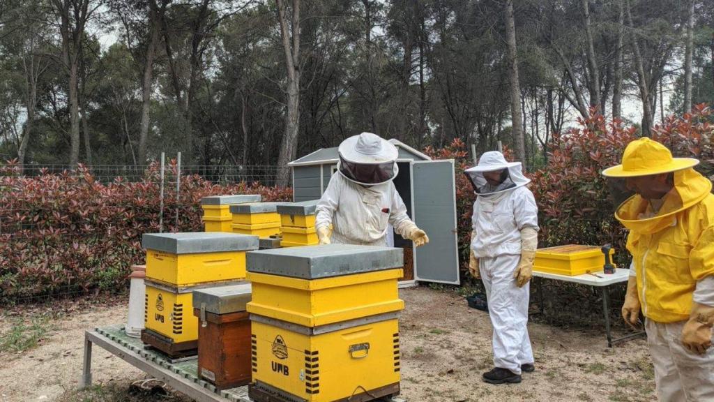 Josep Maria Claria, durante una visita al proyecto UABee