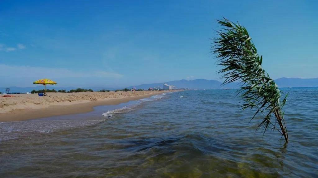 Playa de Can Comes