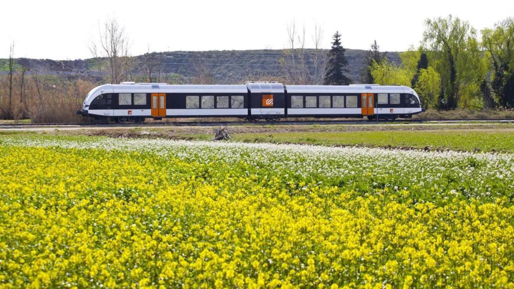 Tren panorámico