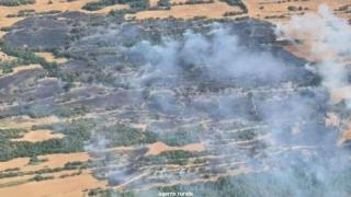 INCENDI SOLSONA
