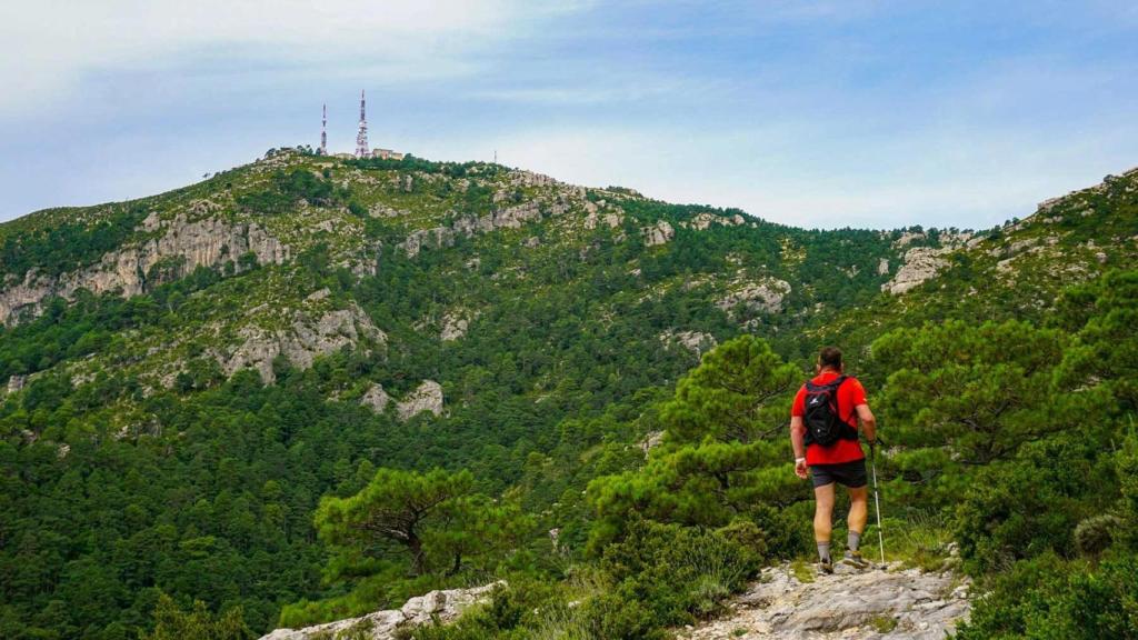 Camino al Mont Caro