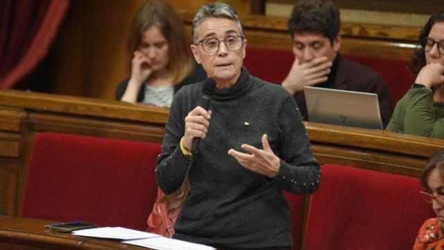 La consellera de Salud de la Generalitat, Olga Pané, interviene durante una sesión de control al Govern, en imagen de archivo