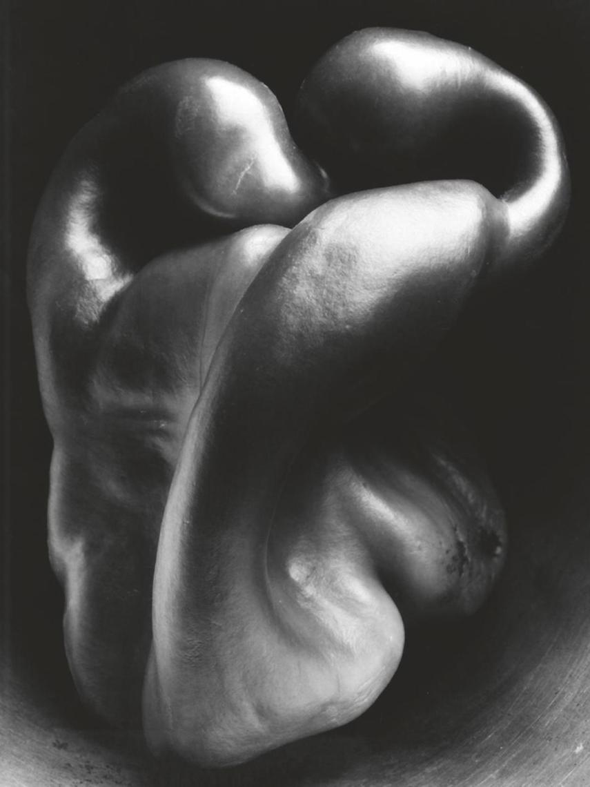 'Pepper nº30, 1930'
