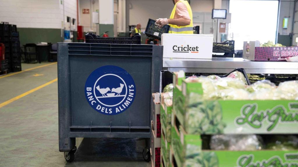Banco de Alimentos