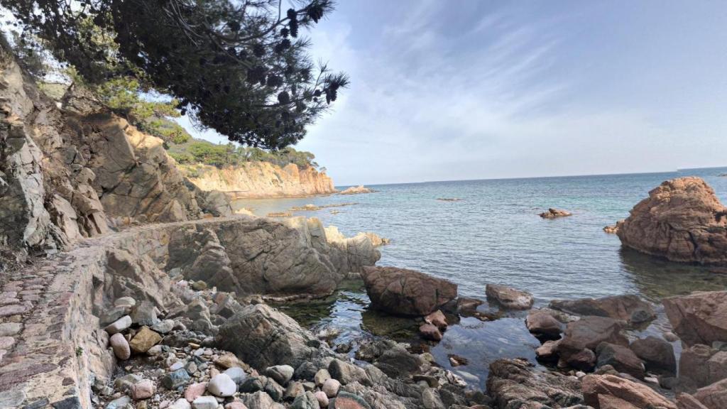 Cala Canyet