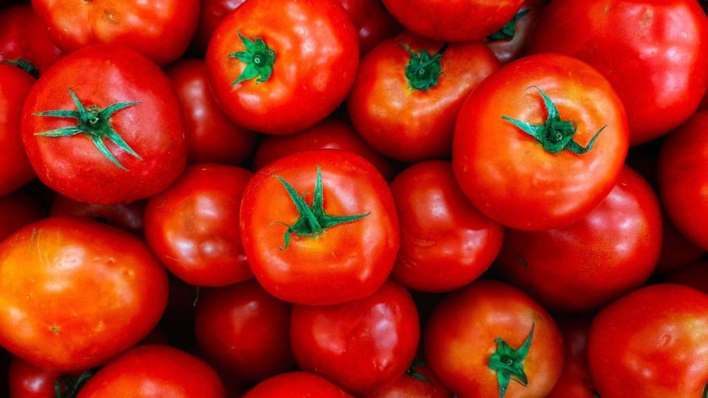 Tomates