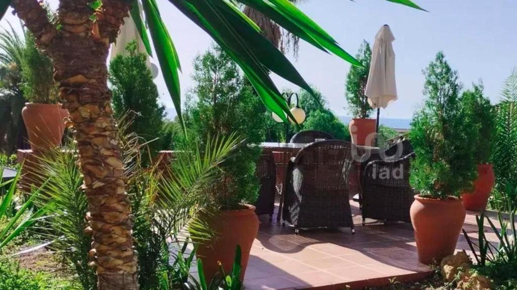 Jardín de una casa de Altafulla