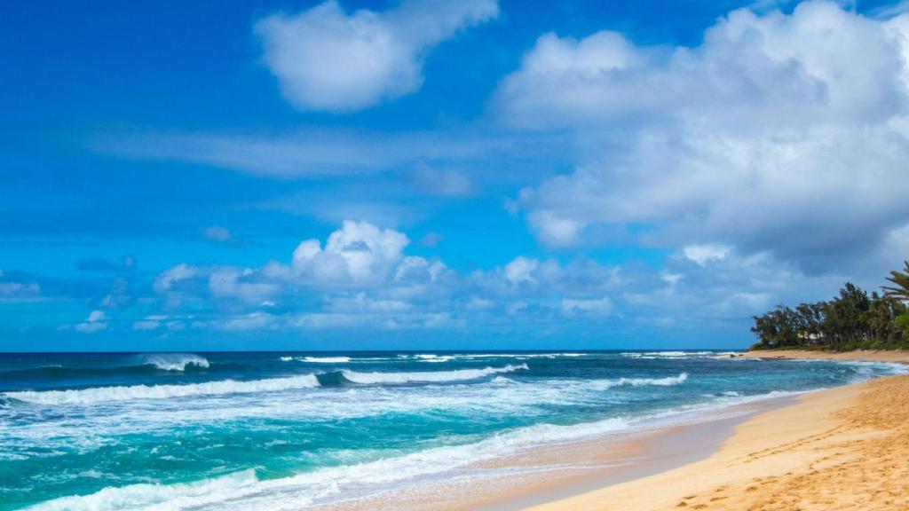 Una playa de Hawái