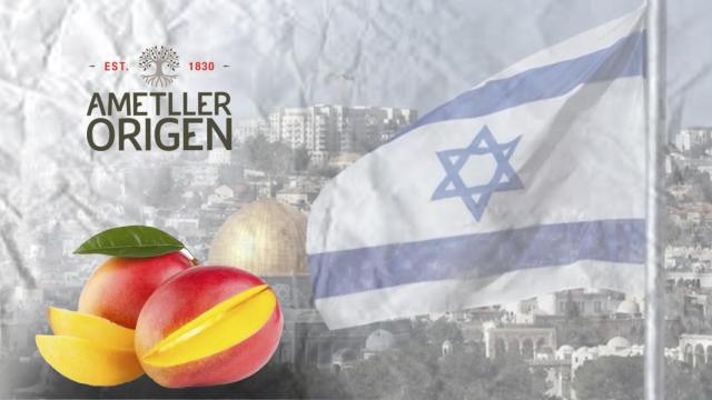 Ametller Origen