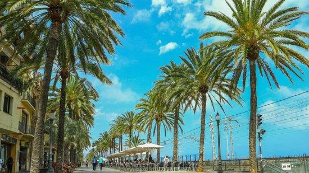 Playa del pueblo de Barcelona donde es más barato alquilar piso en verano