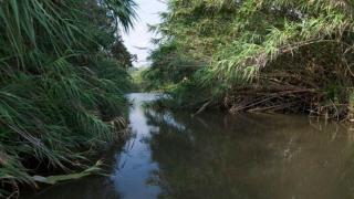 Una balsa en el río Congost