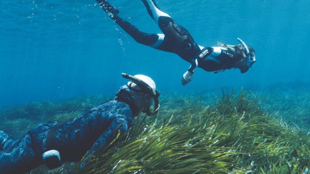 Submarinistas en una pradera de posidonia