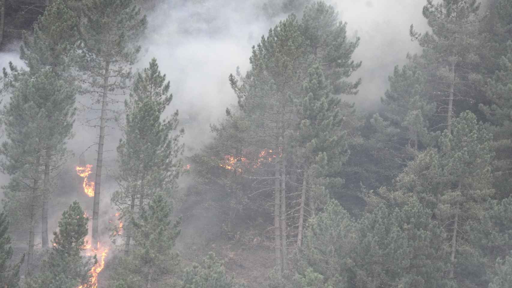 Incendio en Peas Negras, en Ortuella / EP