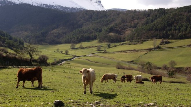 Imagen del Valle de Ayala / TURISMO.EUSKADI.EUS