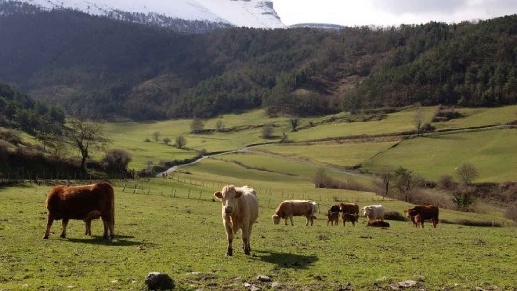 Imagen del Valle de Ayala.