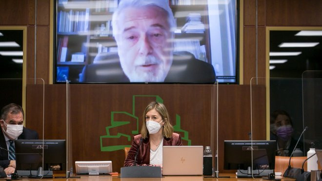 Martínez Churiaque, durante su intervención telemática el viernes pasado en el Parlamento vasco. PARLAMENTO VASCO