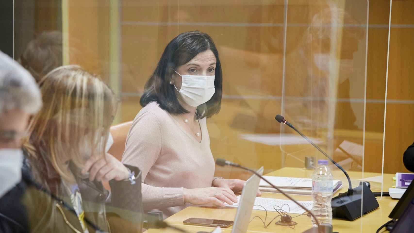 La consejera de Igualdad, Justicia y Polticas Sociales, Beatriz Artolazabal. /IREKIA