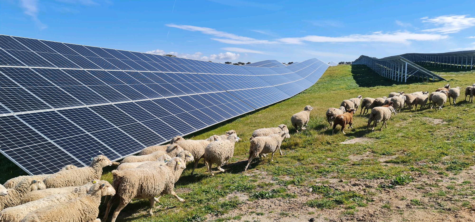 Instalación fotovoltaica / Solarpack