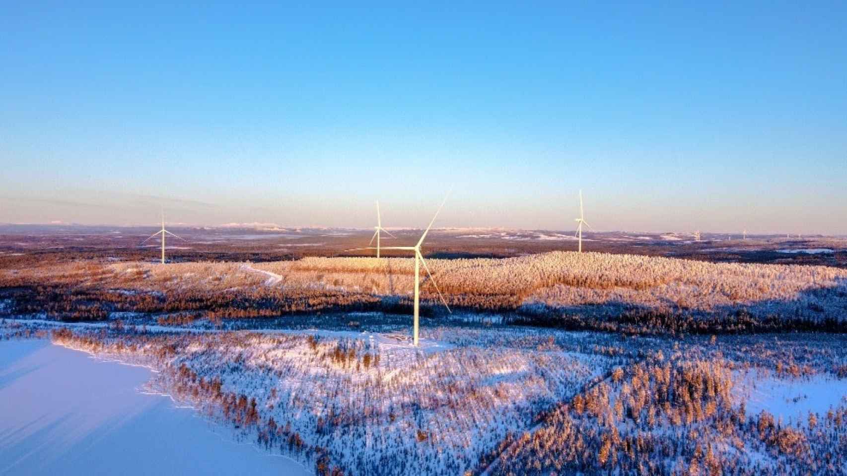 Parque elico de Siemens Gamesa./ Siemens Gamesa