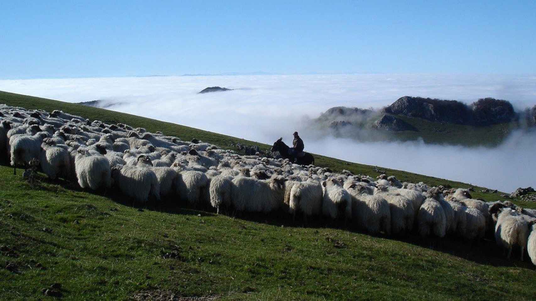 Paisaje de la Ruta del Queso Idiazbal / TURISMOEUSKADI.EUS