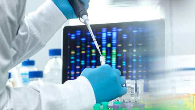 DNA Data es una empresa gipuzkoana de biomedicina especializada en anlisis gentico. / Getty