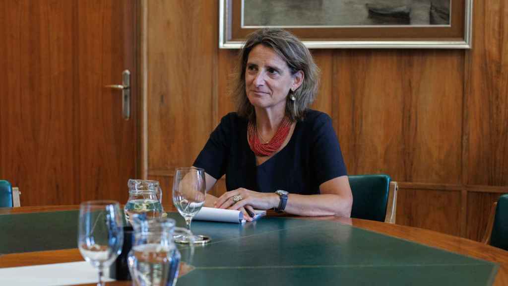 La ministra de Transicin Ecolgica, Teresa Ribera, durante una reunin con el CEO de Enags, Arturo Gonzalo / Europa Press