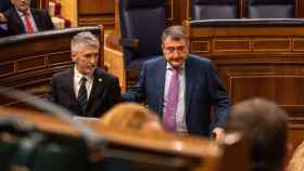 El ministro de Interior, Fernando Grande-Marlaska y el portavoz del PNV, Aitor Esteban, durante una sesin de control al Gobierno, en el Congreso de los Diputados / Gabriel Luengas - EUROPA PRESS