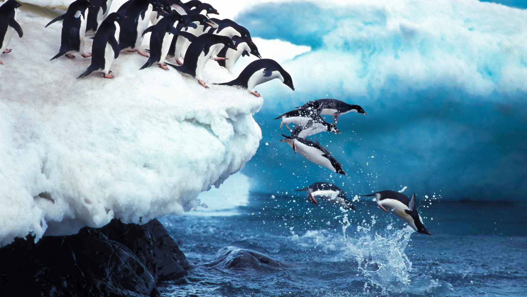 La subida del nivel del mar y el deshielo de los glaciares ya son irreversibles. / SHUTTERSTOCK