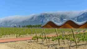 Bodegas Rioja Alavesa. / CV