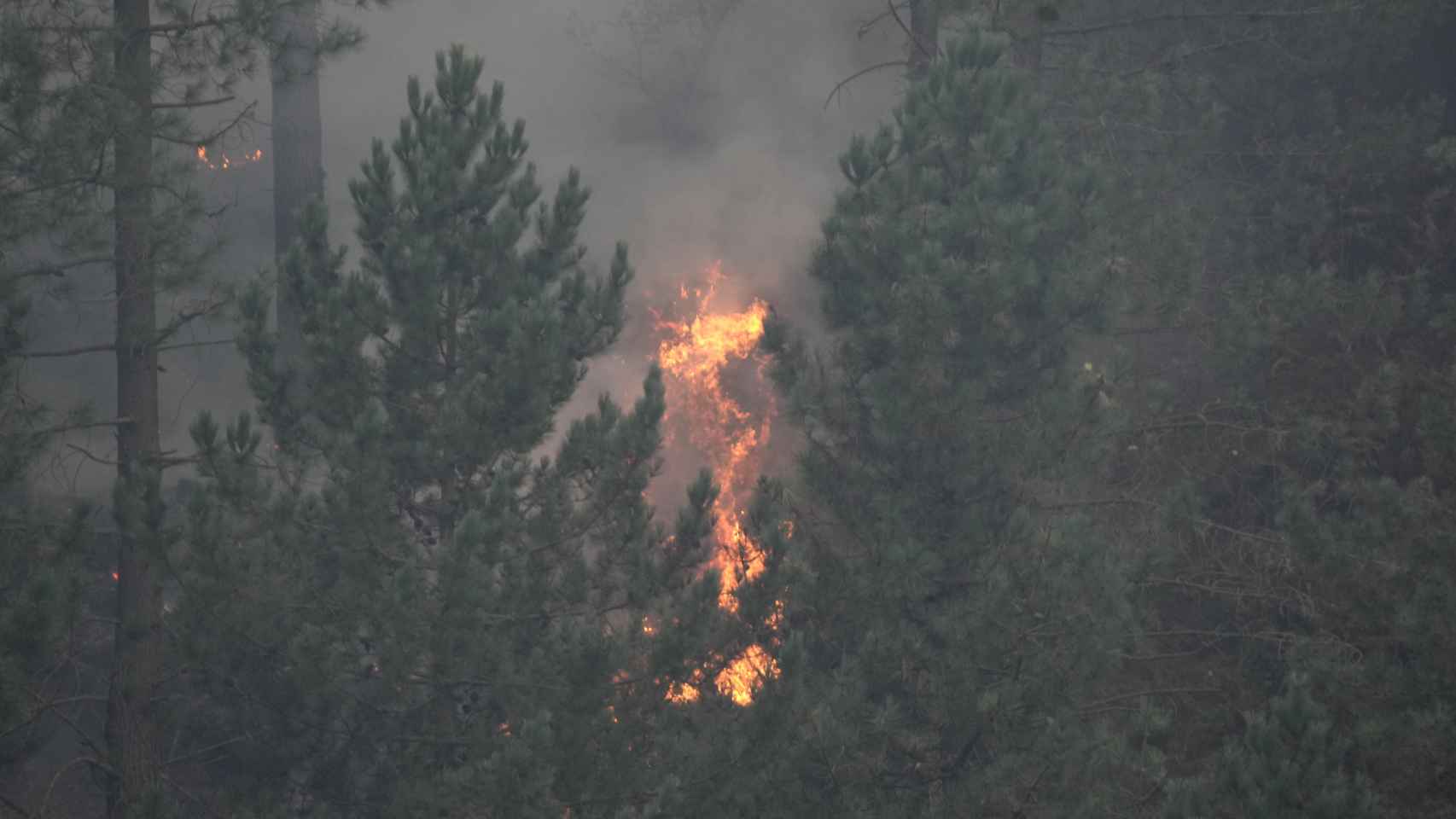 Incendio en la zona de Peas Negras, cerca de La Arboleda / EP