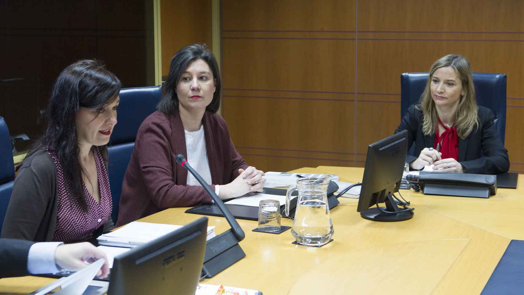 Presidenta de la Autoridad Vasca de la Competencia en el Parlamento / EP