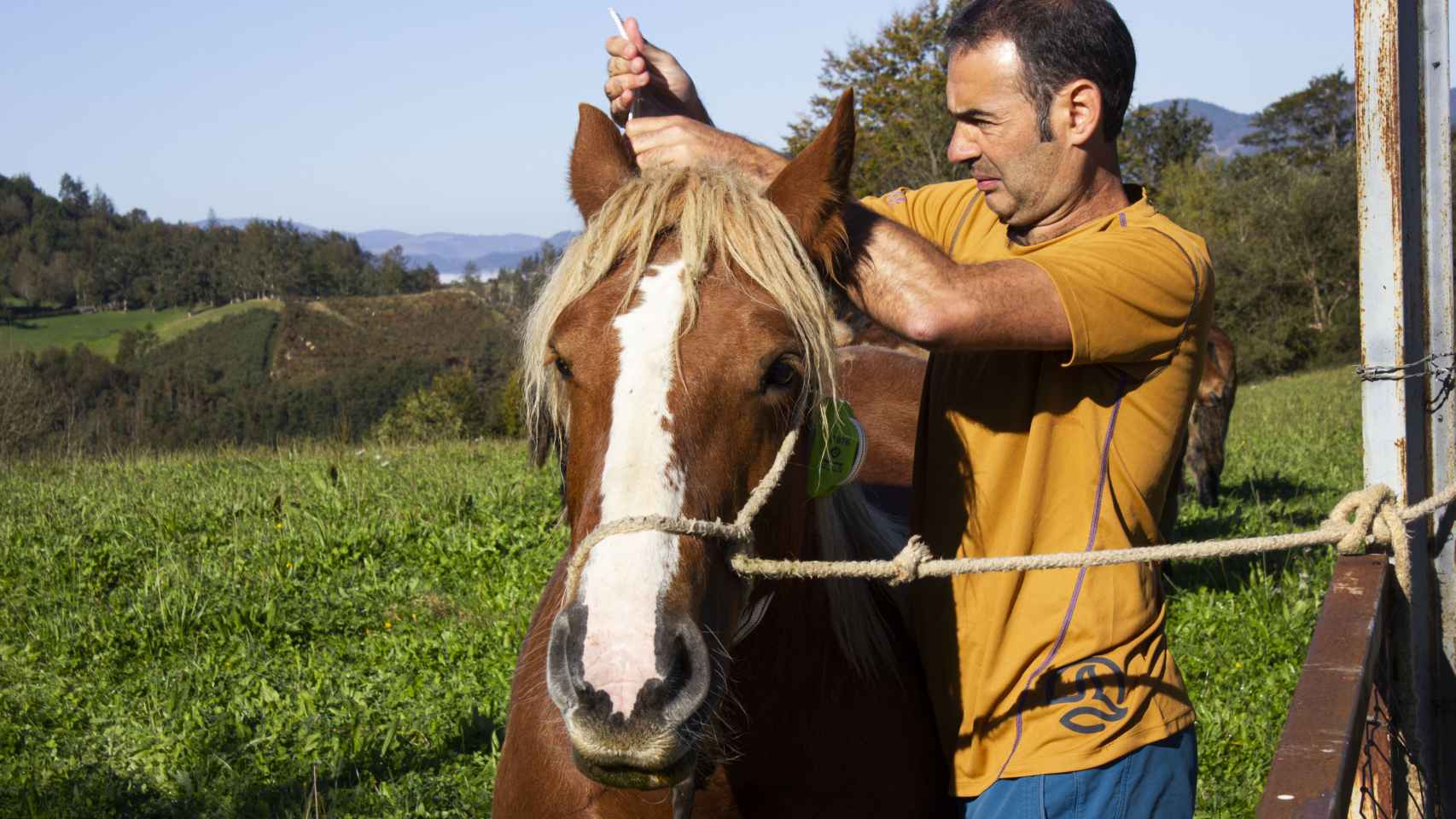 El alcalde de Abaltzisketa, Jon Zubizarreta, instalando un sistema de GPS en un caballo / Hispasat