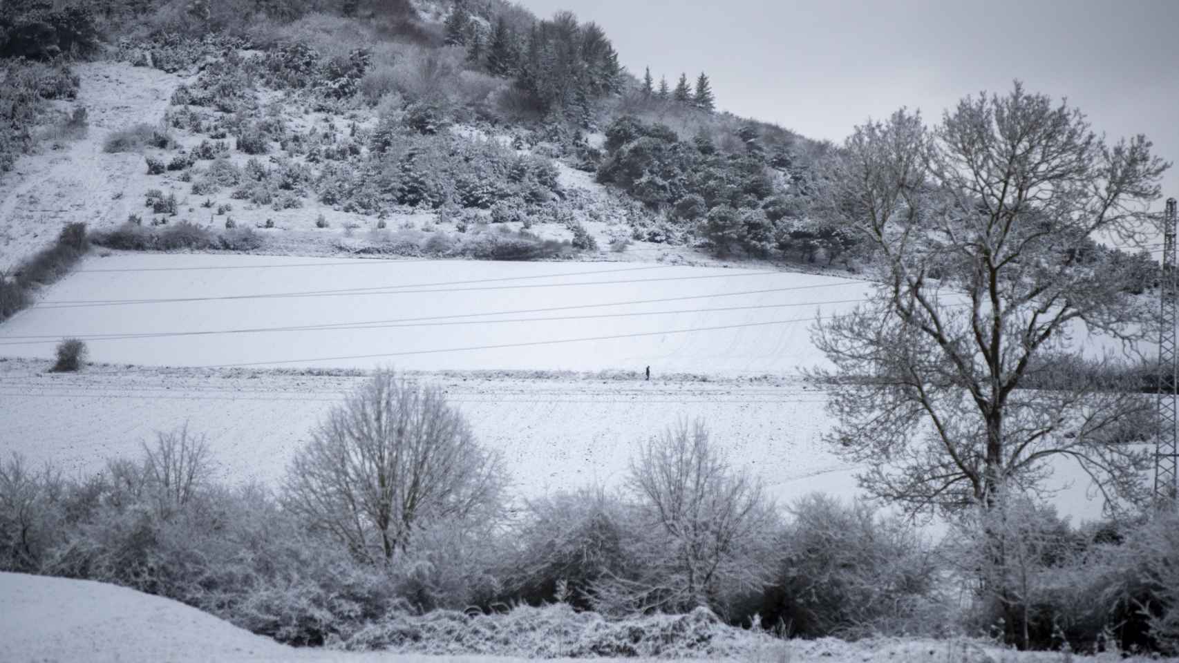 Una persona pasea en el campo nevado a las afueras de Vitoria.