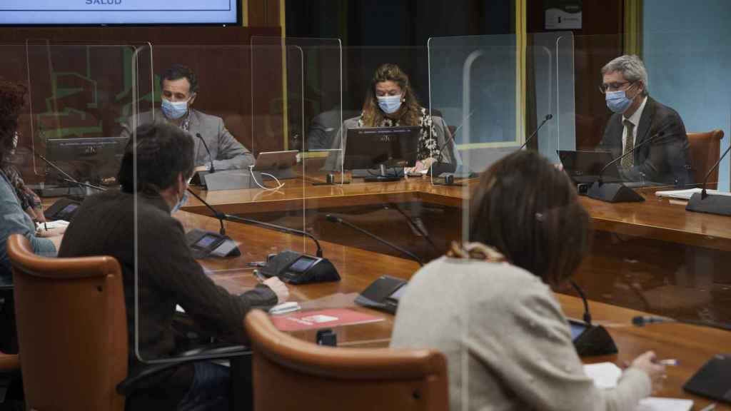 La consejera de Salud, Gotzone Sagardui, durante una reciente comparecencia en el Parlamento vasco. EUROPA PRESS