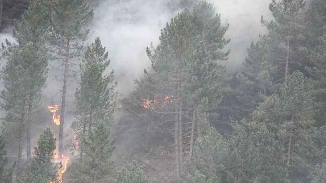 Imagen del incendio de La Arboleda / EP