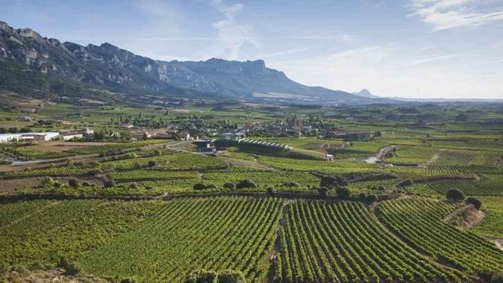 Paisaje de Rioja Alavesa / EP