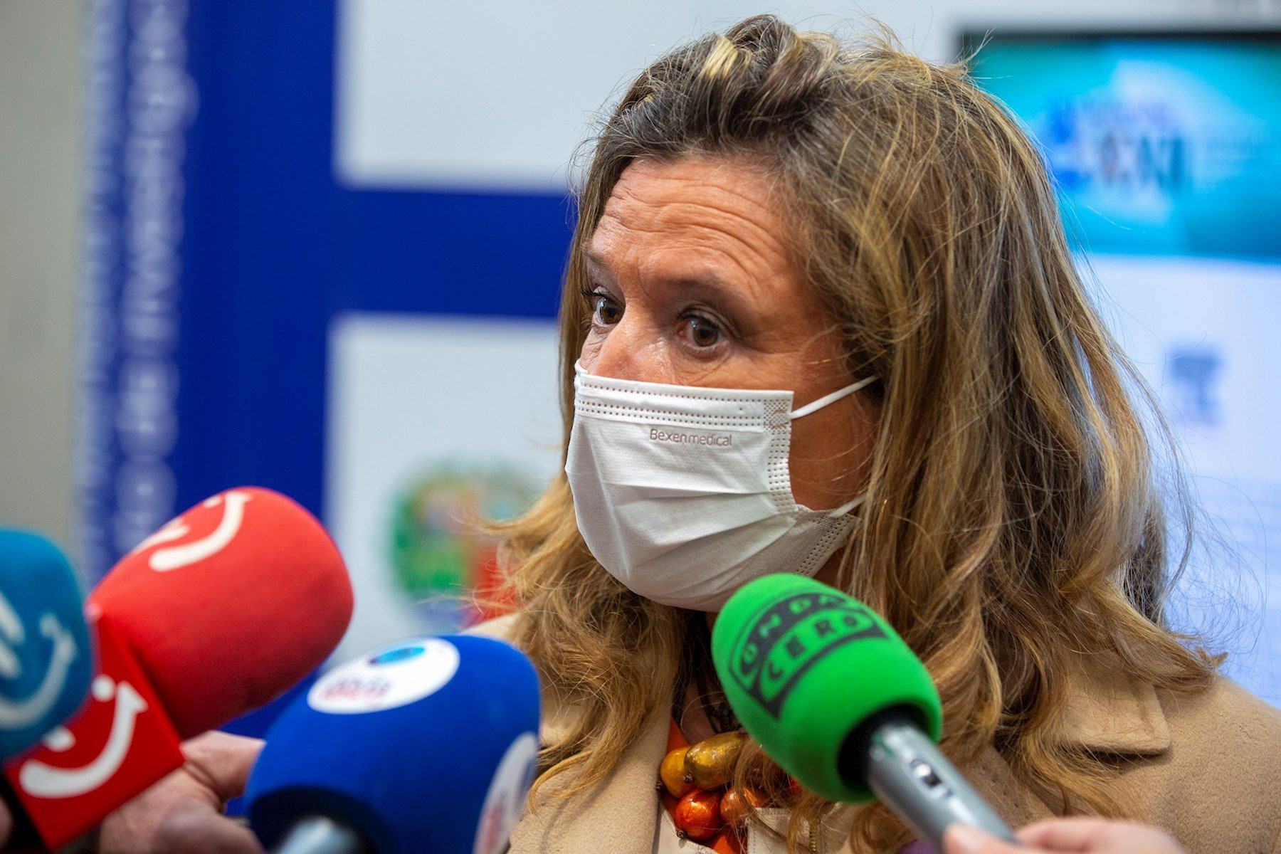 La consejera vasca de Salud, Gotzone Sagardui. / EFE