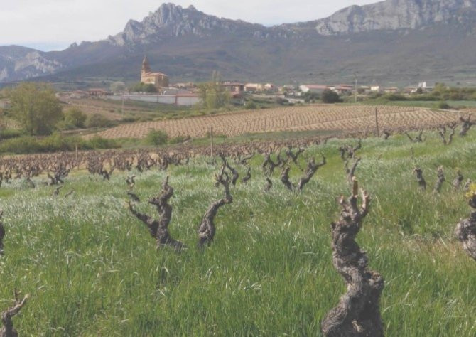 Vinos de la Rioja Alavesa para darse un homenaje / BODEGAS BHILAR OFICIAL