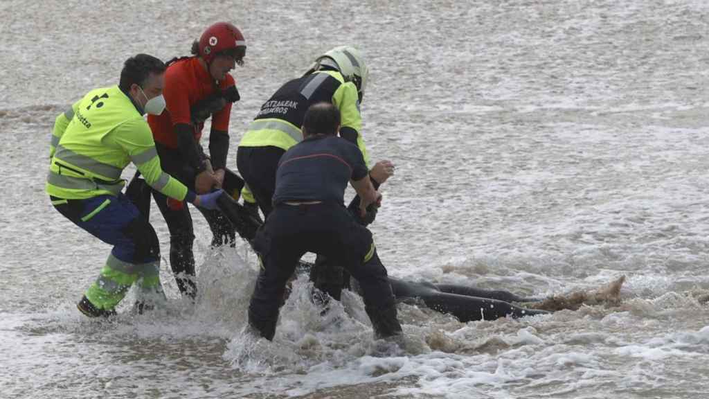 Momento en el que sacan del agua al surfista en la playa de la Zurriola en San Sebastin. / EFE