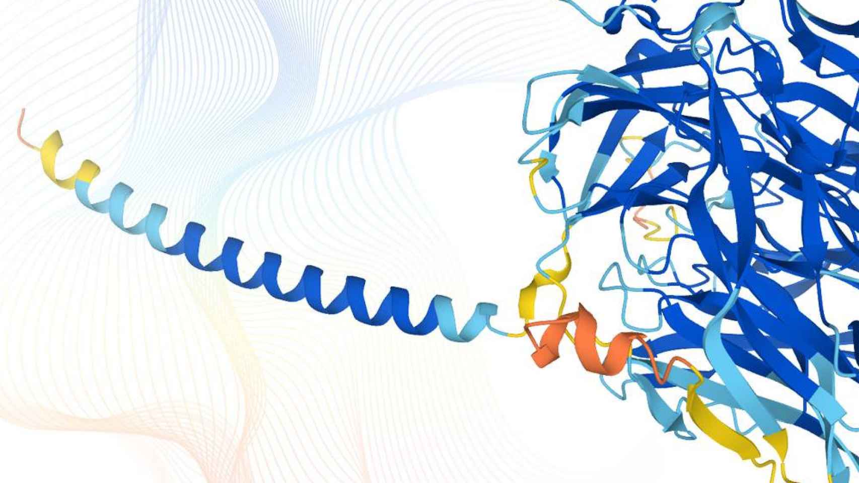 La base de datos ms completa y precisa de las predicciones de estructuras del proteoma humano estar disponible de forma libre y abierta para la comunidad cientfica. / Karen Arnott /EMBL