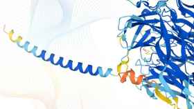 La base de datos ms completa y precisa de las predicciones de estructuras del proteoma humano estar disponible de forma libre y abierta para la comunidad cientfica. / Karen Arnott /EMBL