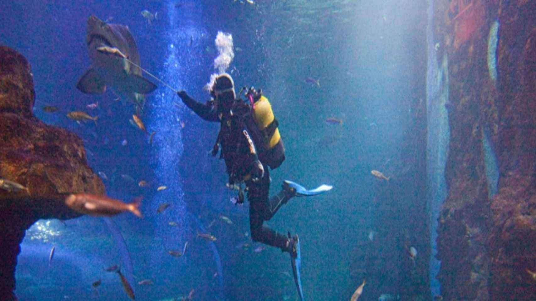 Uno de los museos ms curiosos del Pas Vasco / AQUARIUM