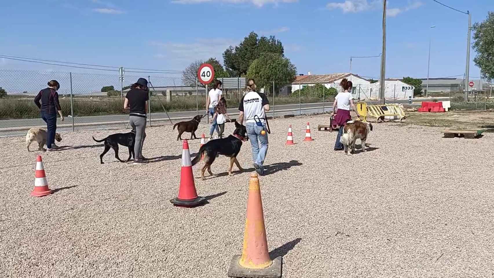 Un grupo de mujeres durante una de las sesiones de adiestramiento.