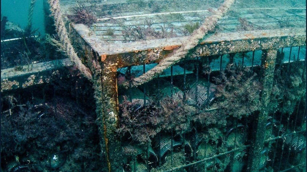 Bodega bajo el mar / BODEGA CRUSOE TREASURE