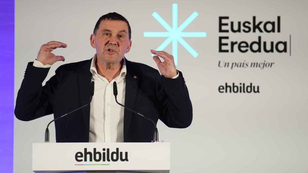 El coordinador general de EH Bildu, Arnaldo Otegi. / EFE