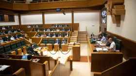 Pleno en el Parlamento vasco. / EP